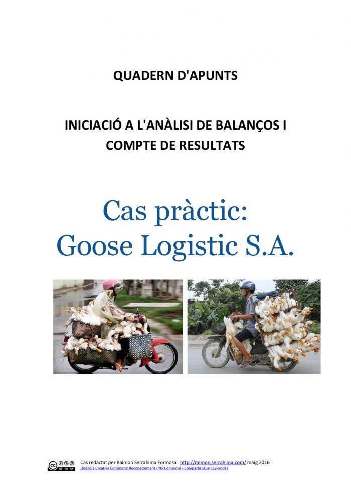 Cas Pràctic Goose Logistic