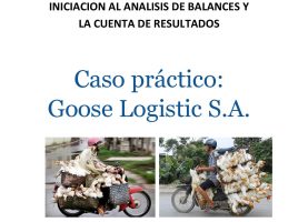 Caso Práctico Goose Logistic