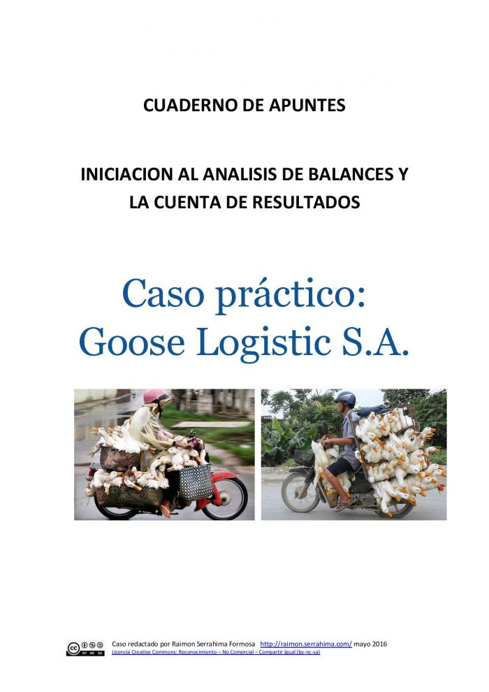 Caso Práctico Goose Logistic